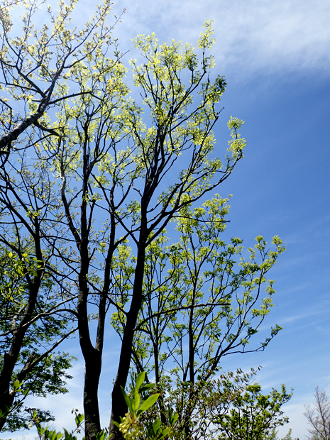f0214649_16586.jpg