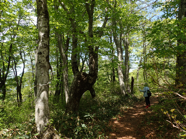 f0214649_1693829.jpg