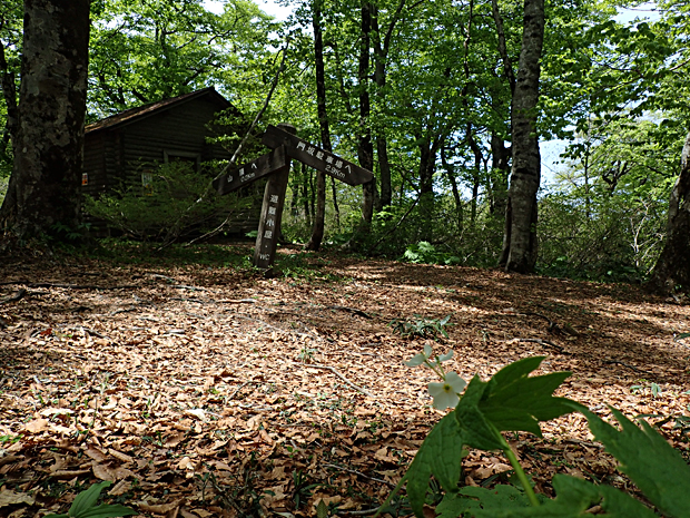 f0214649_188264.jpg
