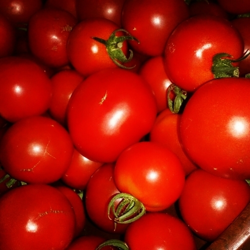 f0341250_05420478.jpg