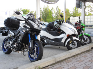 a0052952_1943841.jpg