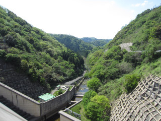 a0052952_1993145.jpg