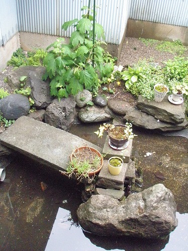 c0327752_10032057.jpg