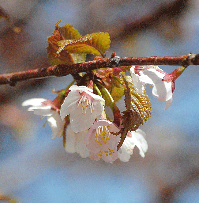 a0001354_23205858.gif
