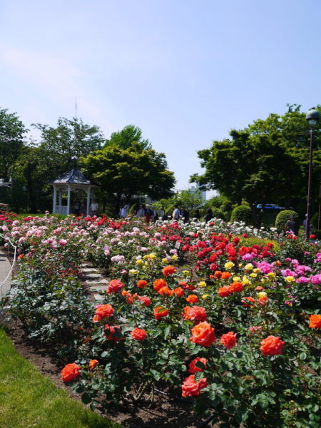b0282061_2311398.jpg