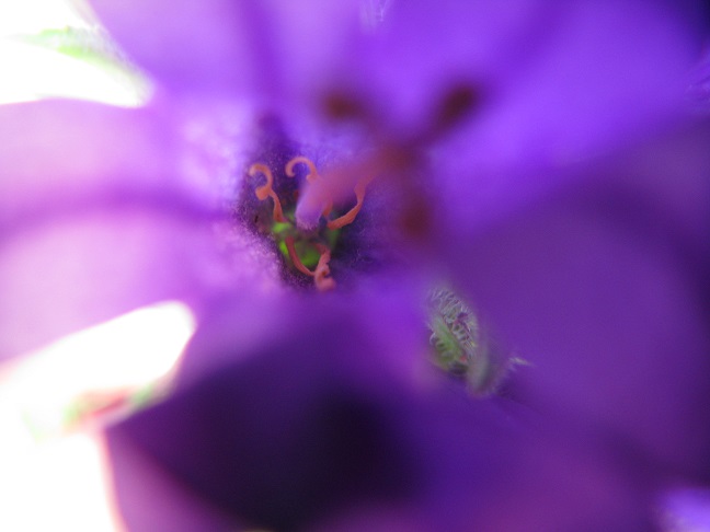 a0052762_6214446.jpg