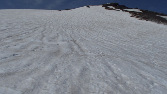 b0050067_1201219.jpg