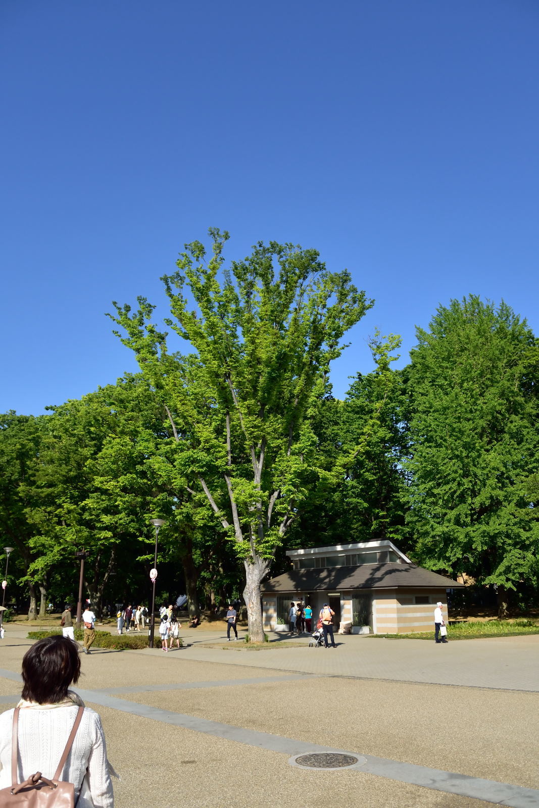 b0346568_12045256.jpg