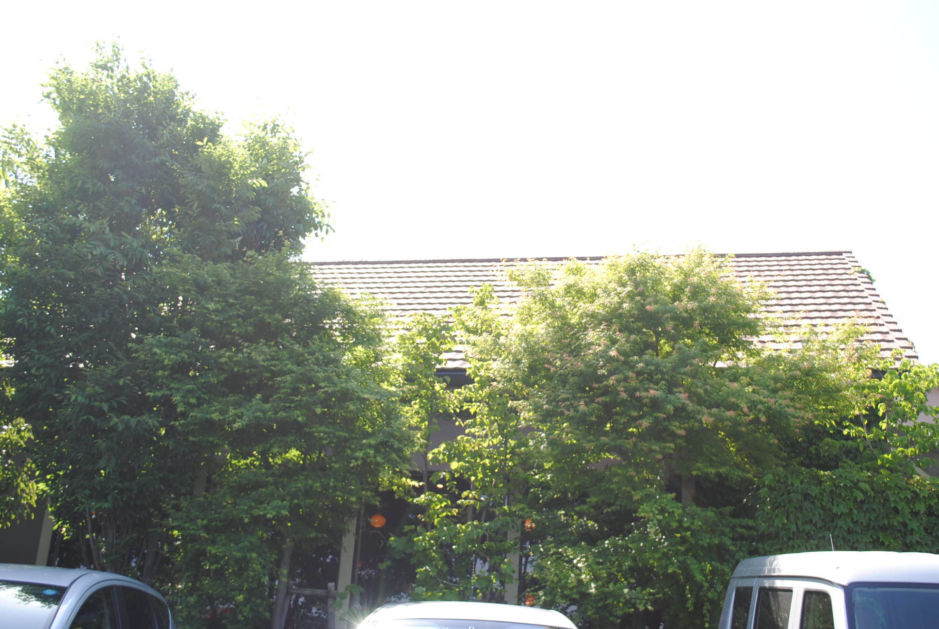 b0242873_15160513.jpg