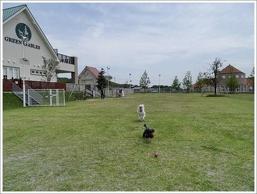 b0111376_15444145.jpg