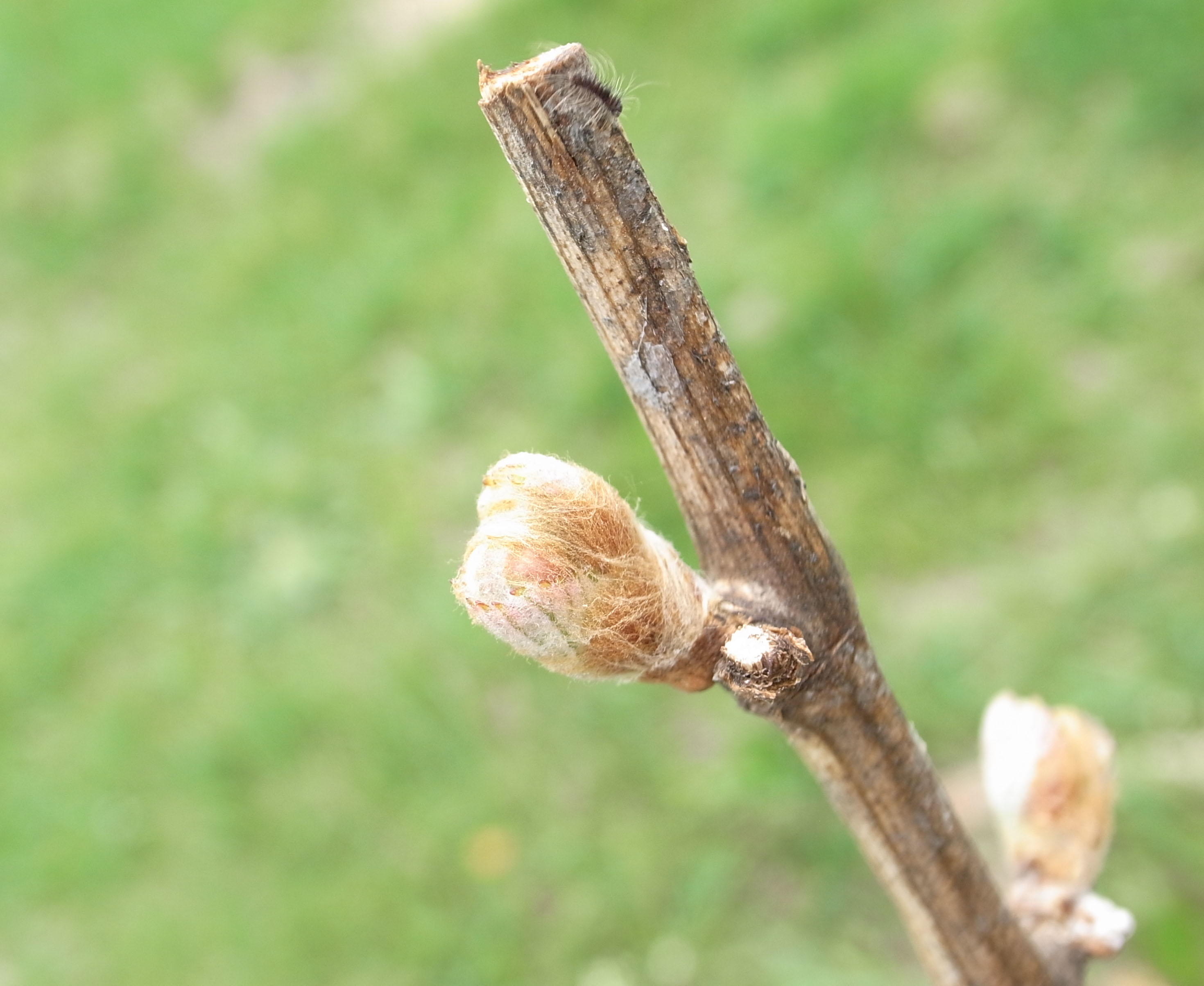 c0172882_104102.jpg