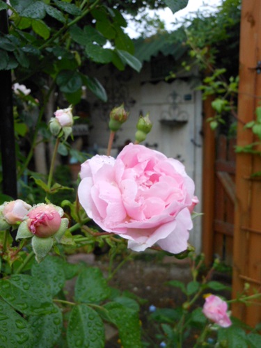 b0096584_22494758.jpg