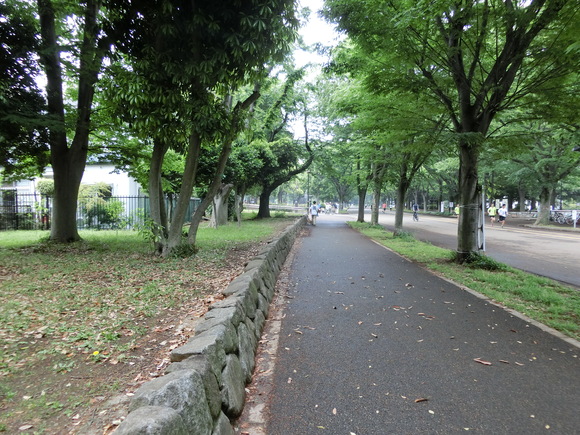 a0319693_21391266.jpg