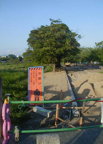 d0053294_23491532.jpg