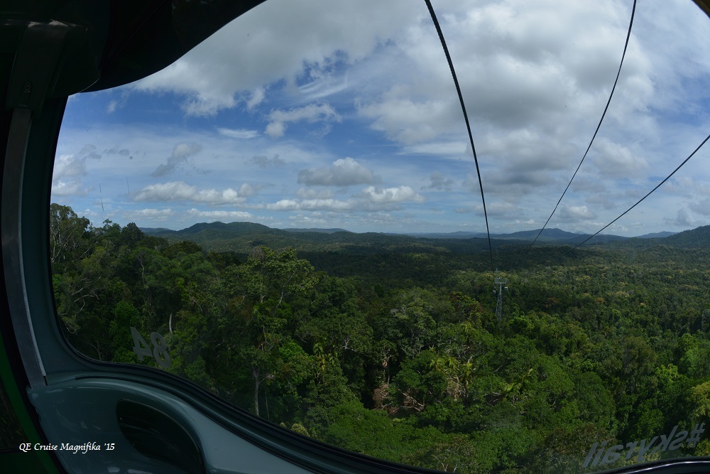 f0268294_23143773.jpg