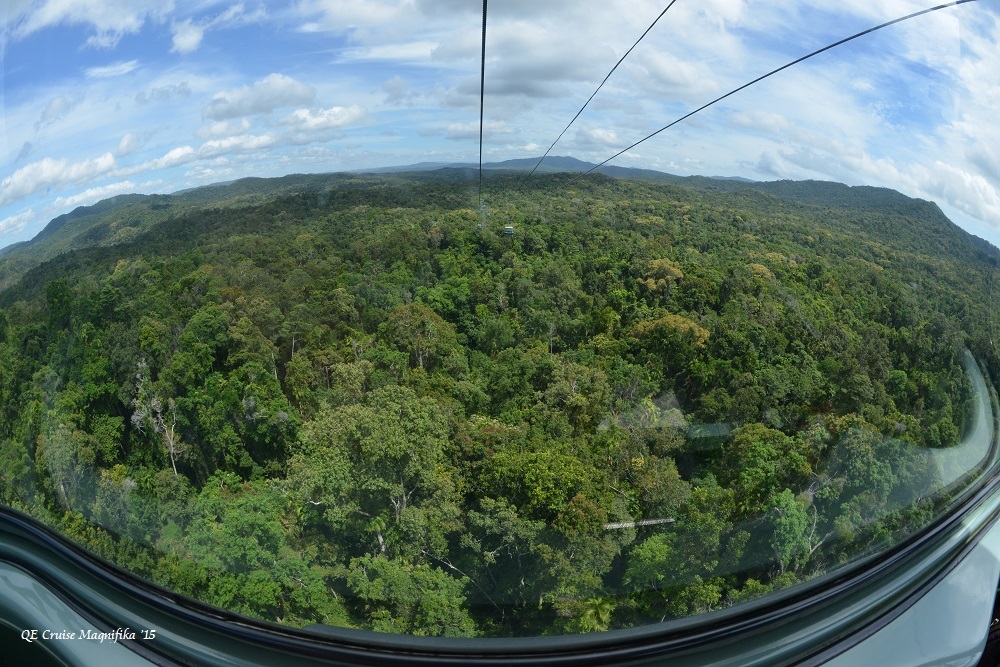 f0268294_23145911.jpg