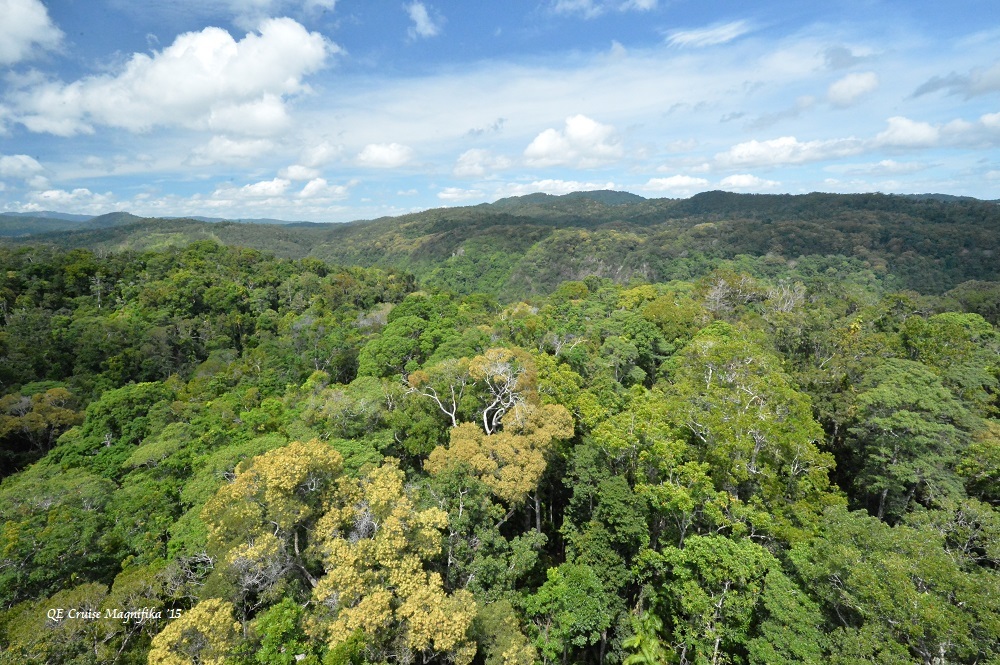 f0268294_23324044.jpg