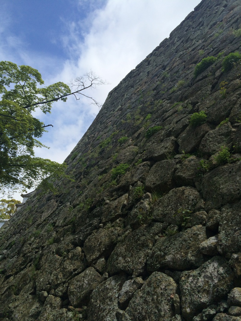 d0055395_18371829.jpg