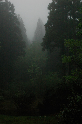 a0061599_746247.jpg