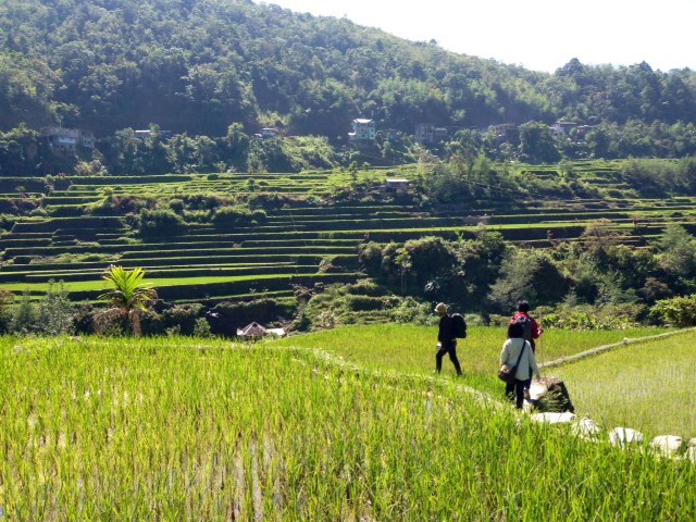 b0128901_16575558.jpg