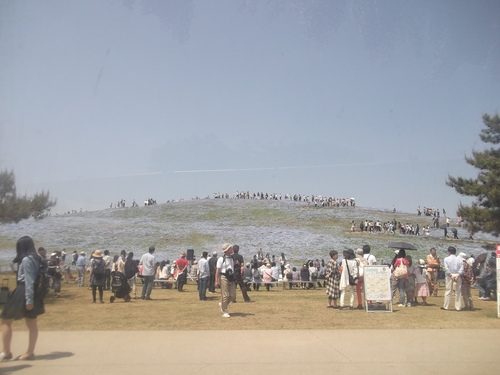 e0245601_851998.jpg