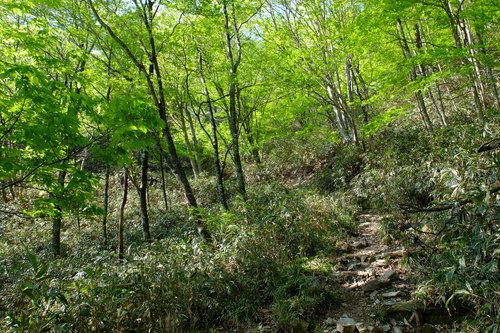 e0304001_20515915.jpg