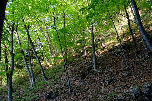 e0304001_20561694.jpg