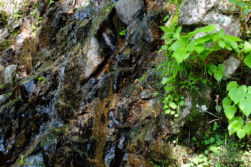 e0304001_2111441.jpg