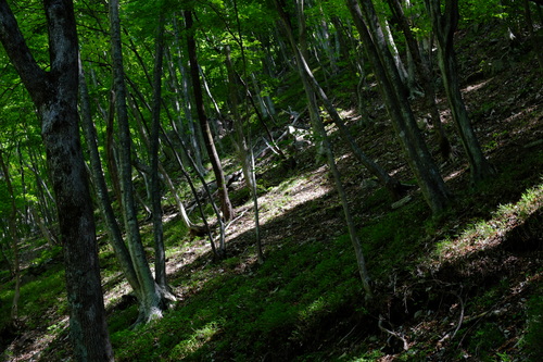 e0304001_21121447.jpg