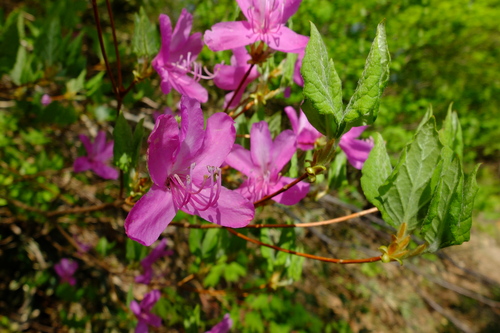 e0304001_2142067.jpg