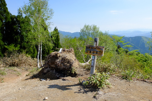 e0304001_2154512.jpg