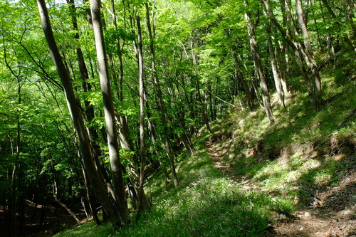 e0304001_2192154.jpg