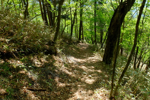 e0304001_219534.jpg