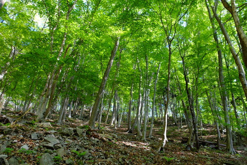 e0304001_2210544.jpg