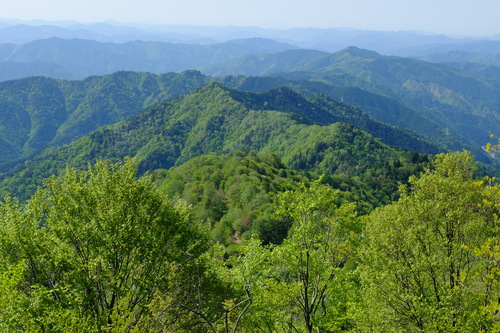 e0304001_22143837.jpg