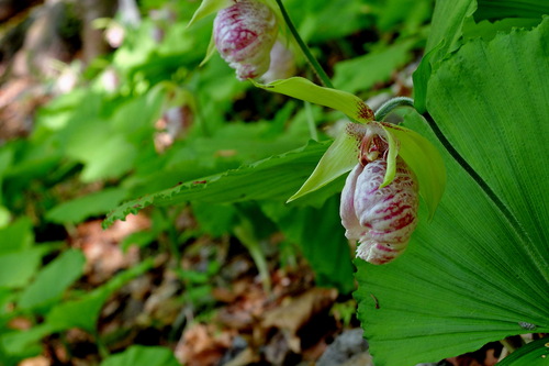 e0304001_2294114.jpg