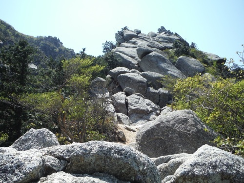 b0326303_23135012.jpg