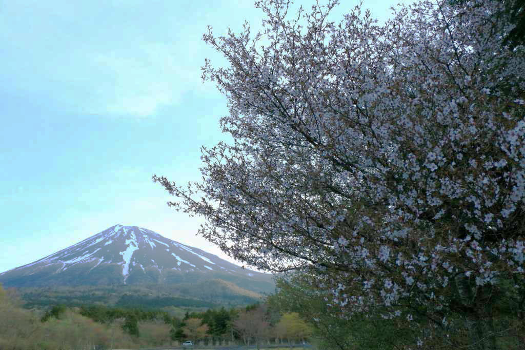 a0188405_02073036.jpg