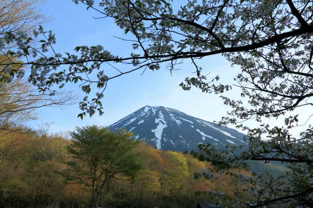 a0188405_02125669.jpg