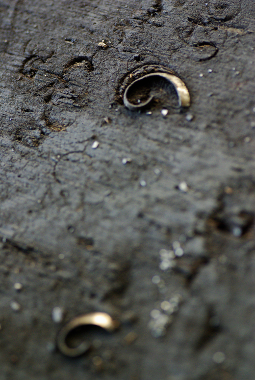 f0155808_13424748.jpg
