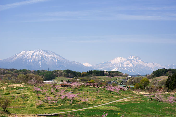 a0263109_2374480.jpg