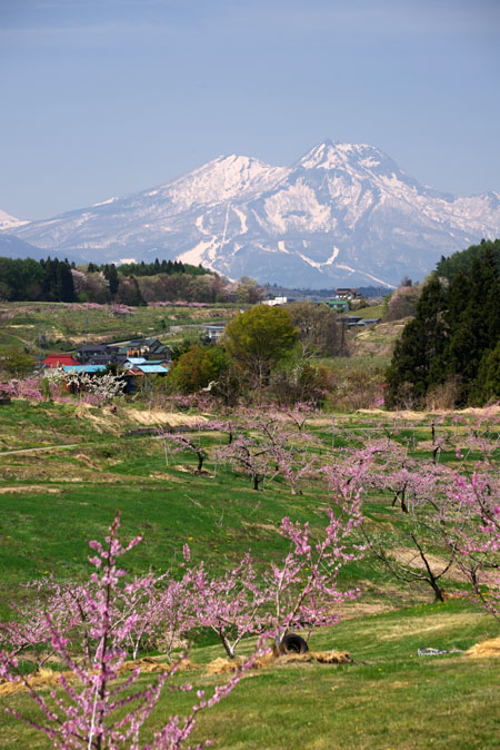 a0263109_2374915.jpg