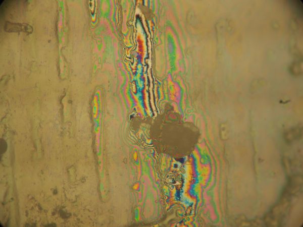 c0164709_17293992.jpg