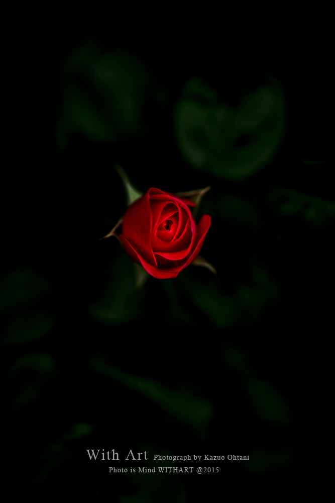 e0006219_21285755.jpg