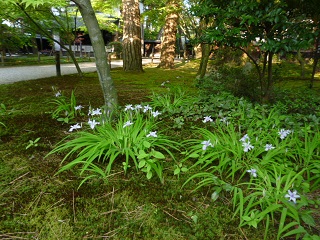 e0135219_926030.jpg
