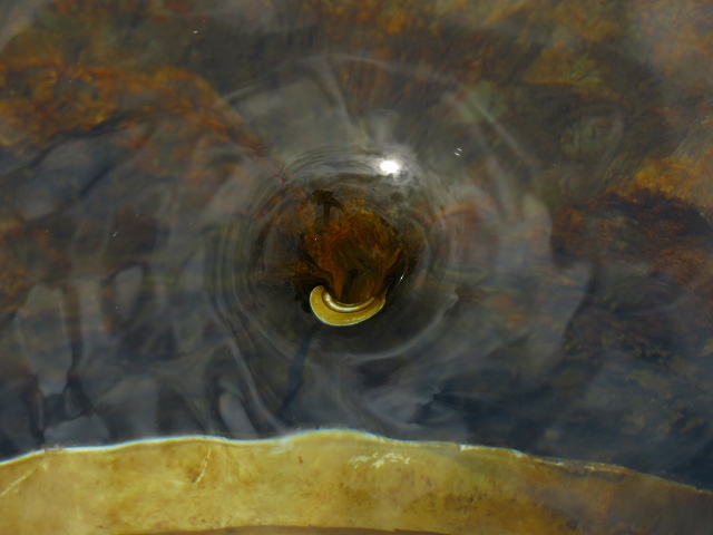 e0242721_8112359.jpg