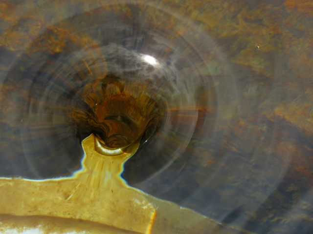 e0242721_812330.jpg