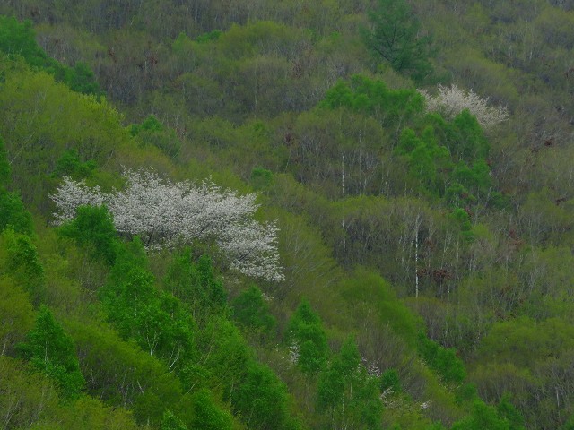 e0242721_872019.jpg