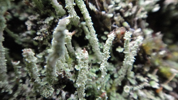 f0000521_03175150.jpg