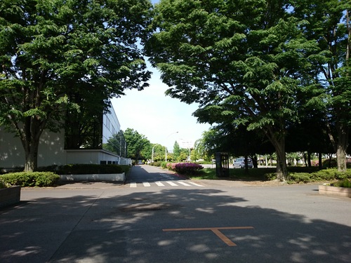 f0128821_2183524.jpg